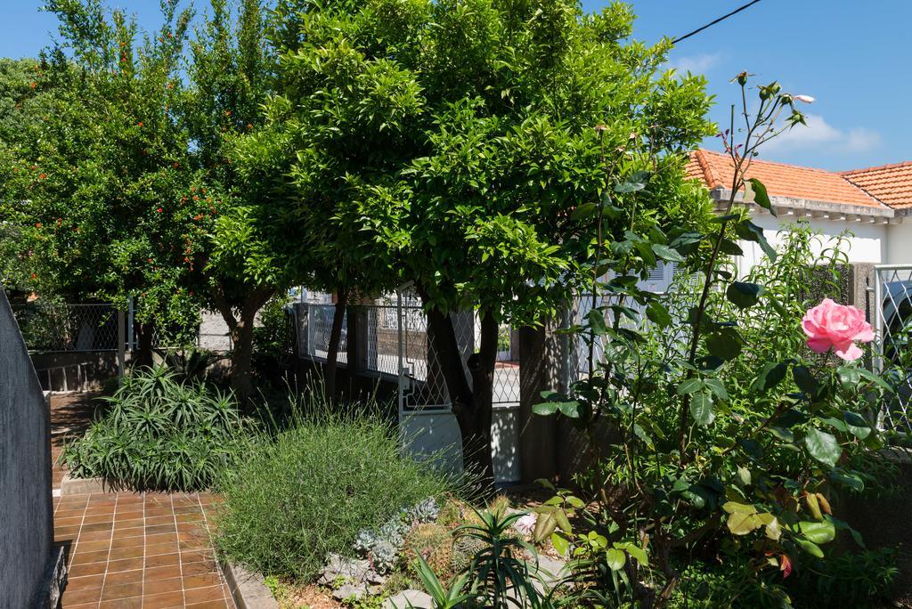 Apartment Veve Dubrovnik Eksteriør billede
